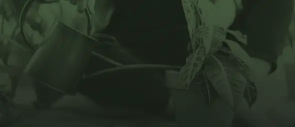 Servicio de jardinería y mantenimiento de espacios verdes